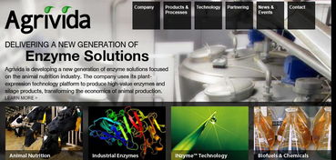 押注下一个前沿 合成生物领域的创新与投资趋势